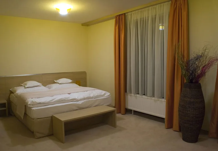 Hotel Legend – Dunajská Streda, turisticko-rekreačná oblasť pri Termálnom kúpalisku, fotografia 7